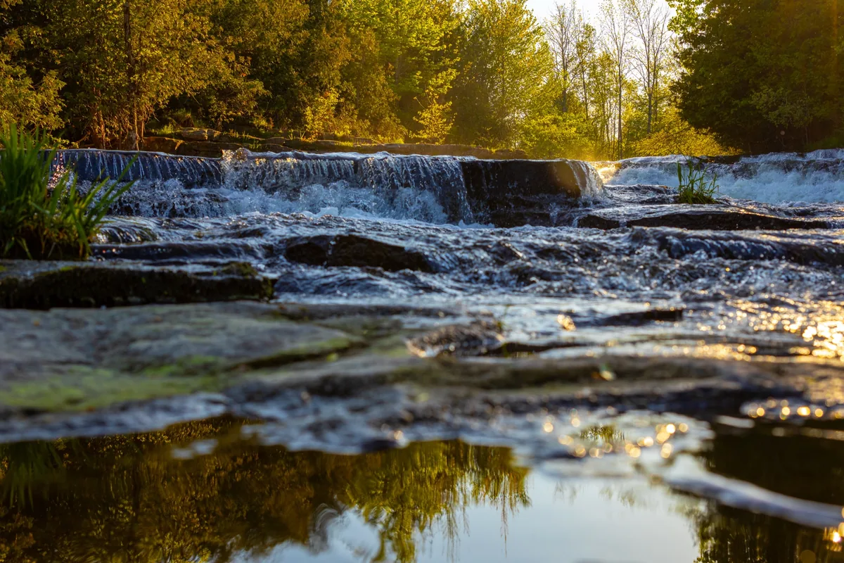 Nature photography sample